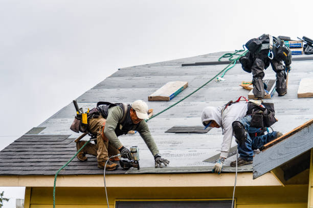 Professional Storm Damage Roof Repair technician working in Palestine, IL