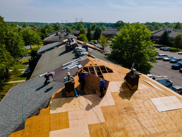 Trusted Storm Damage Roof Repair service in Palestine, IL - Brentwood Metal Roofing